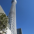 sky tree (10)