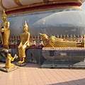 IMG_6472.JPG