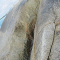 IMG_6478.JPG