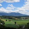 IMG_8157.JPG