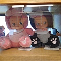 DSCN0061.JPG