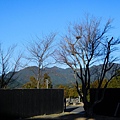 DSCN0587.JPG