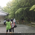 很大的天龍寺(世界文化遺產)，下山還會再見