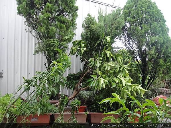 DSC01314.JPG DSC01314.JPG