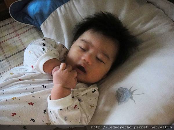 DSC01681.JPG DSC01681.JPG