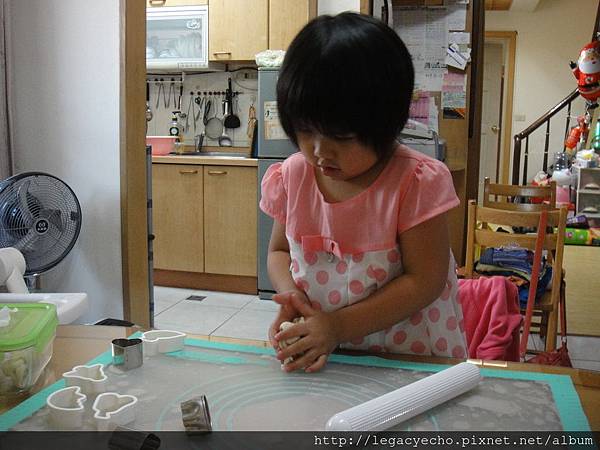 DSC01773.JPG DSC01773.JPG