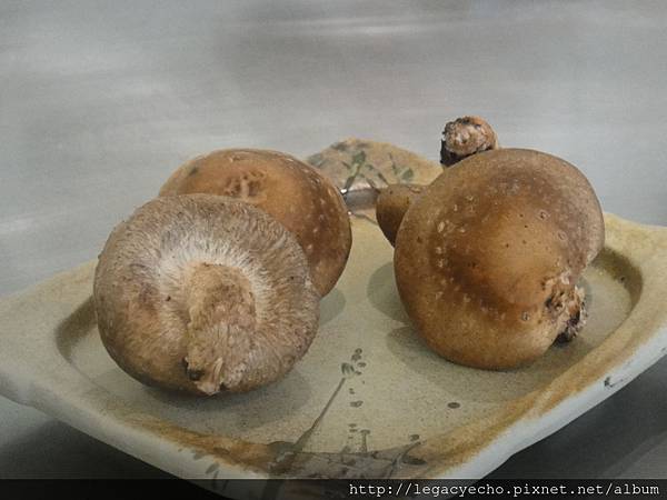 DSC02585.JPG DSC02585.JPG