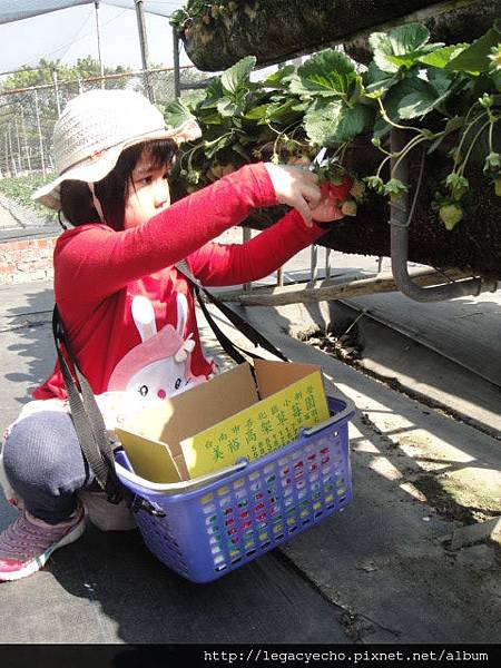 DSC03661.JPG DSC03661.JPG