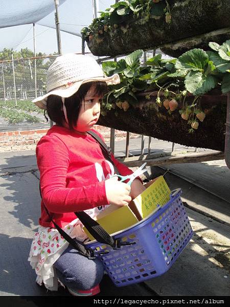 DSC03664.JPG DSC03664.JPG