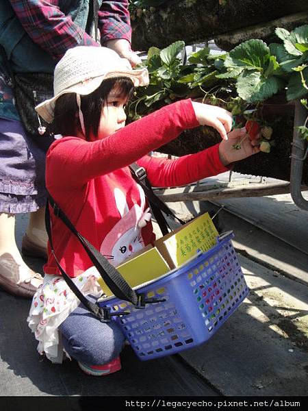 DSC03662.JPG DSC03662.JPG