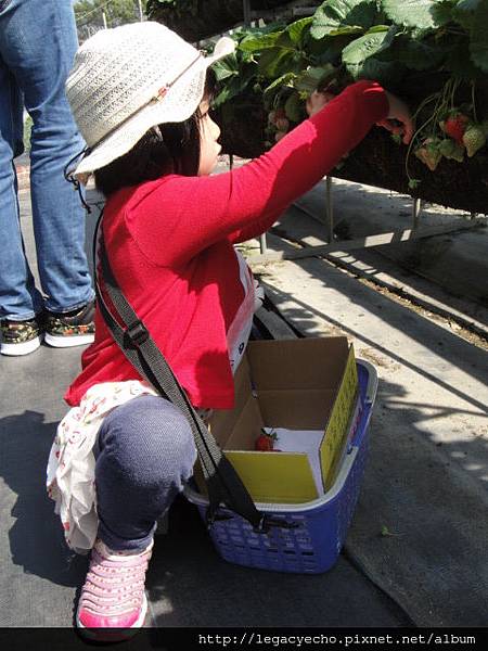 DSC03666.JPG DSC03666.JPG