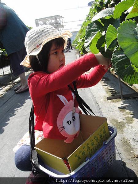 DSC03669.JPG DSC03669.JPG