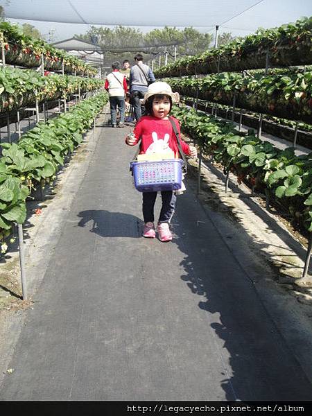 DSC03671.JPG DSC03671.JPG