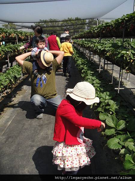 DSC03674.JPG DSC03674.JPG