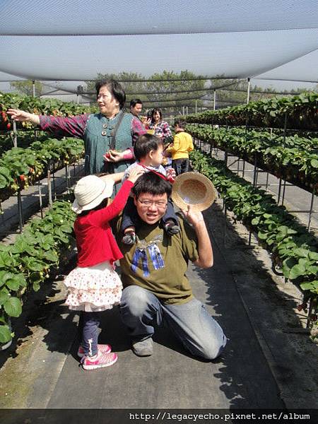 DSC03678.JPG DSC03678.JPG