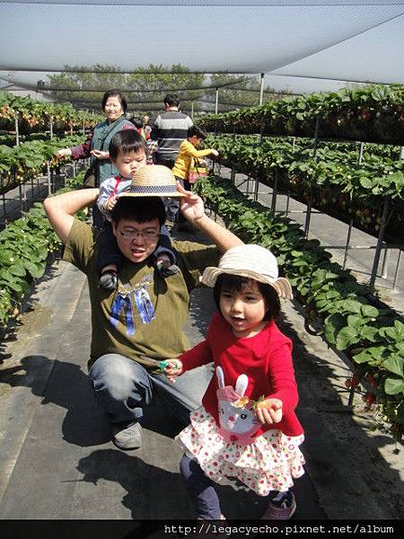 DSC03676.JPG DSC03676.JPG