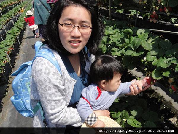 DSC03690.JPG DSC03690.JPG