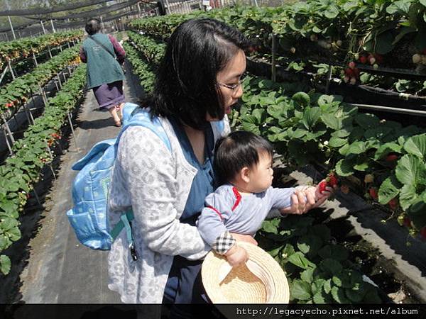 DSC03691.JPG DSC03691.JPG