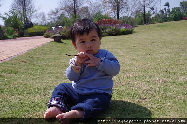 IMGP9769.JPG IMGP9769.JPG