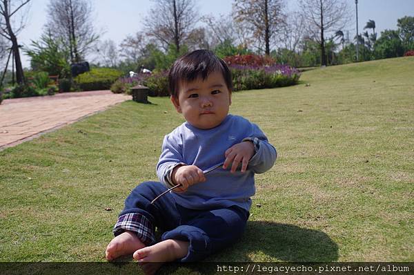 IMGP9770.JPG IMGP9770.JPG