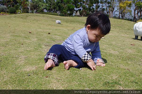 IMGP9777.JPG IMGP9777.JPG