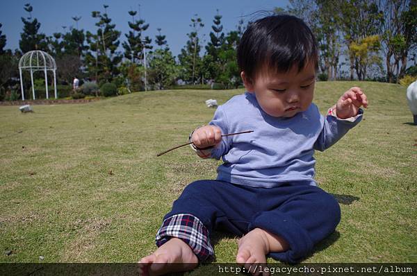 IMGP9772.JPG IMGP9772.JPG