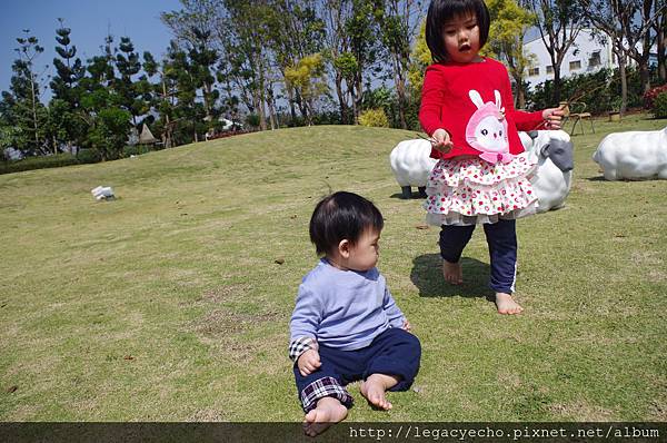 IMGP9776.JPG IMGP9776.JPG