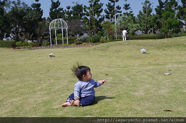 IMGP9781.JPG IMGP9781.JPG