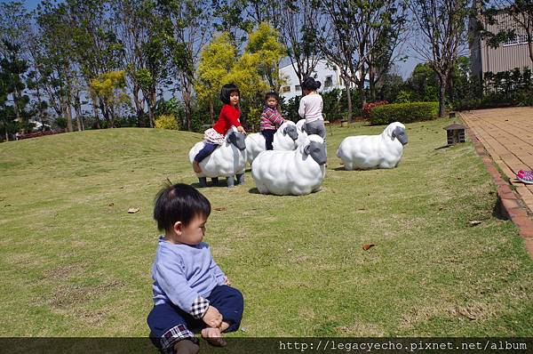 IMGP9779.JPG IMGP9779.JPG