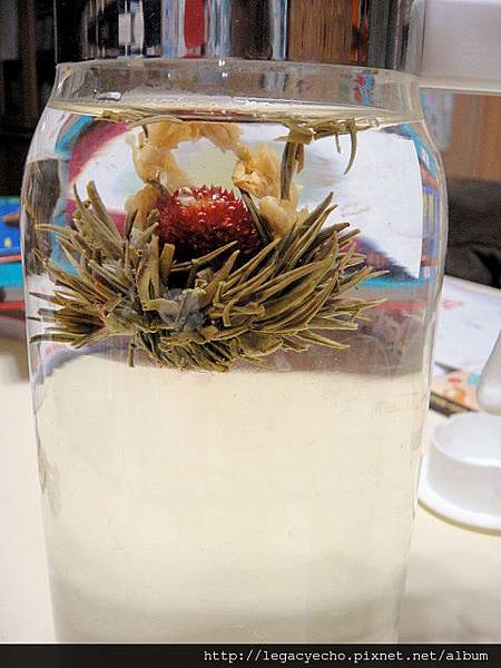 DSC05096.JPG DSC05096.JPG