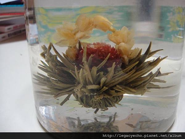 DSC05099.JPG DSC05099.JPG