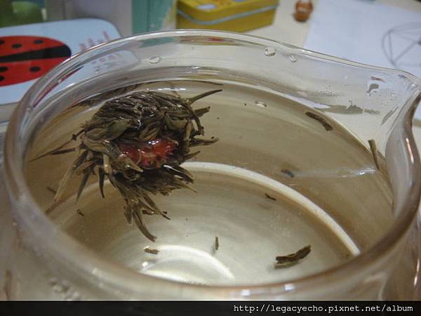 DSC05193.JPG DSC05193.JPG