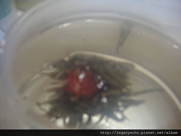 DSC05194.JPG DSC05194.JPG