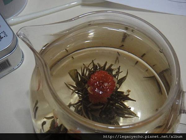 DSC05199.JPG DSC05199.JPG