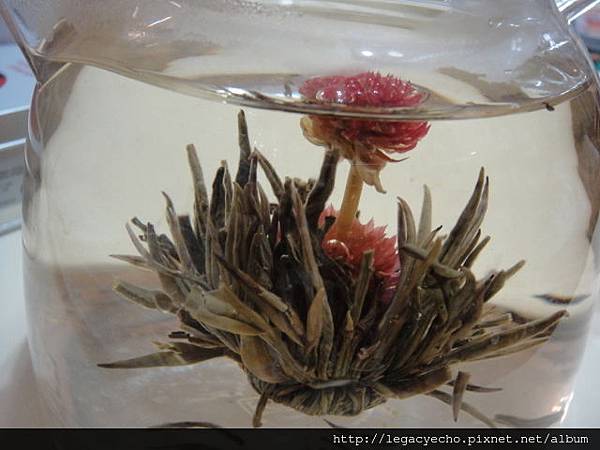 DSC05197.JPG DSC05197.JPG