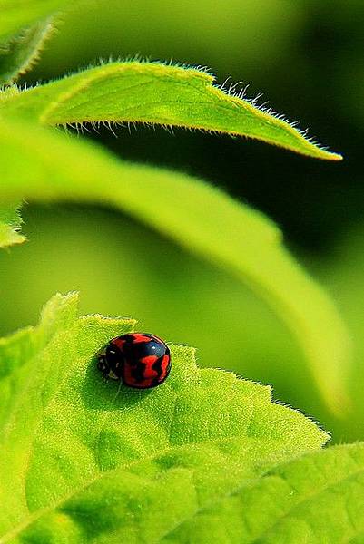 IMG_5863-2 IMG_5863-2