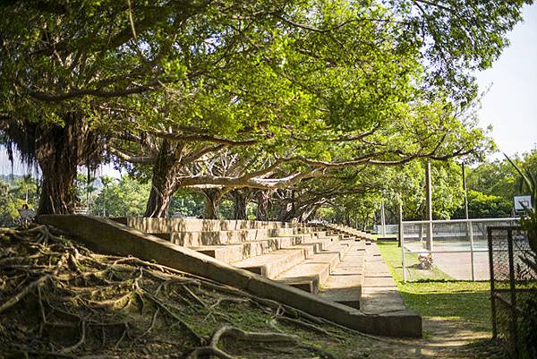 南投中興新村景點：中興會堂、耶斯列花園、光華公園