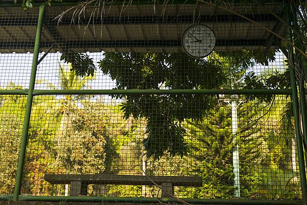 南投中興新村景點：中興會堂、耶斯列花園、光華公園