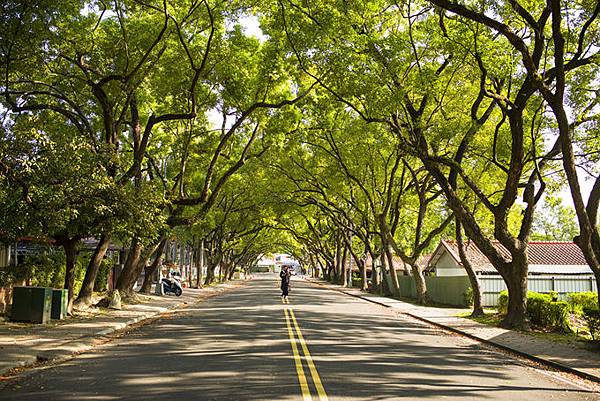 南投中興新村景點：中興會堂、耶斯列花園、光華公園