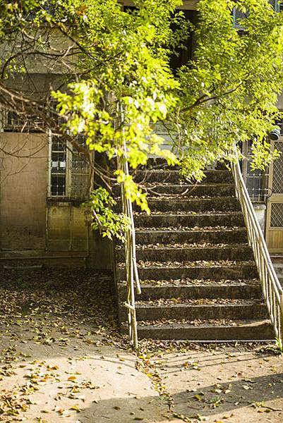 南投中興新村景點：中興會堂、耶斯列花園、光華公園