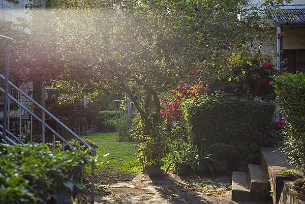 南投中興新村景點：中興會堂、耶斯列花園、光華公園