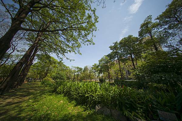 福倫達voigtlander vm 10mm f5.6大東濕地公園陽光記實