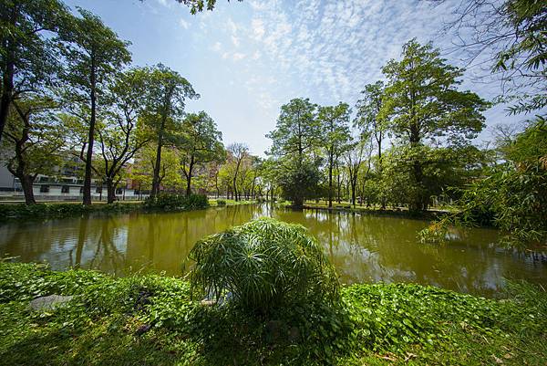 福倫達voigtlander vm 10mm f5.6大東濕地公園陽光記實