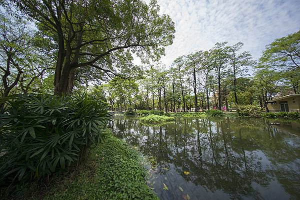 福倫達voigtlander vm 10mm f5.6大東濕地公園陽光記實