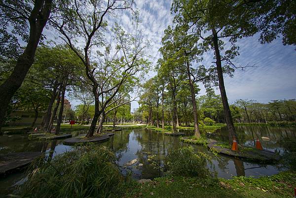 福倫達voigtlander vm 10mm f5.6大東濕地公園陽光記實