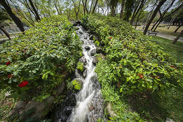 福倫達voigtlander vm 10mm f5.6大東濕地公園陽光記實