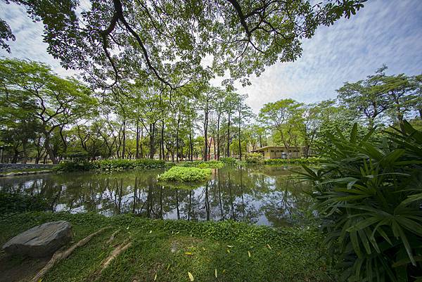 福倫達voigtlander vm 10mm f5.6大東濕地公園陽光記實