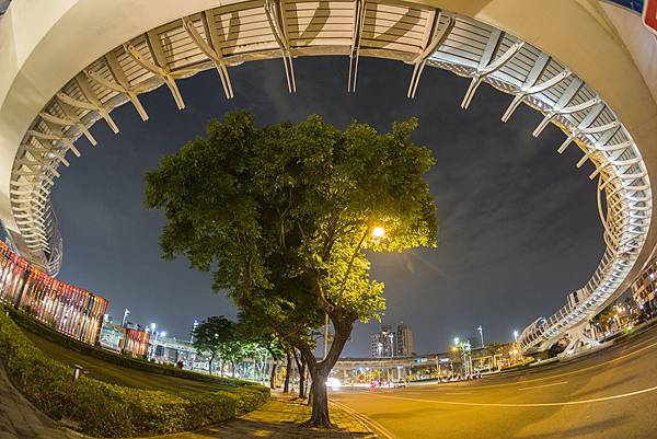 高雄前鎮之星腳踏車道銘匠光學TTArtisan 11mm f2.8夜拍