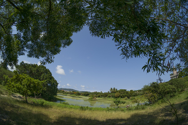 高雄洲仔濕地公園銘匠光學TTArtisan 11mm f2.8睛天記錄