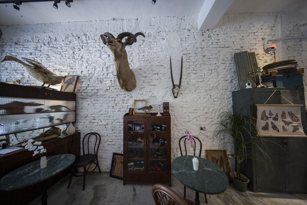 猶生AMAR動物標本古董傢俱餐廳